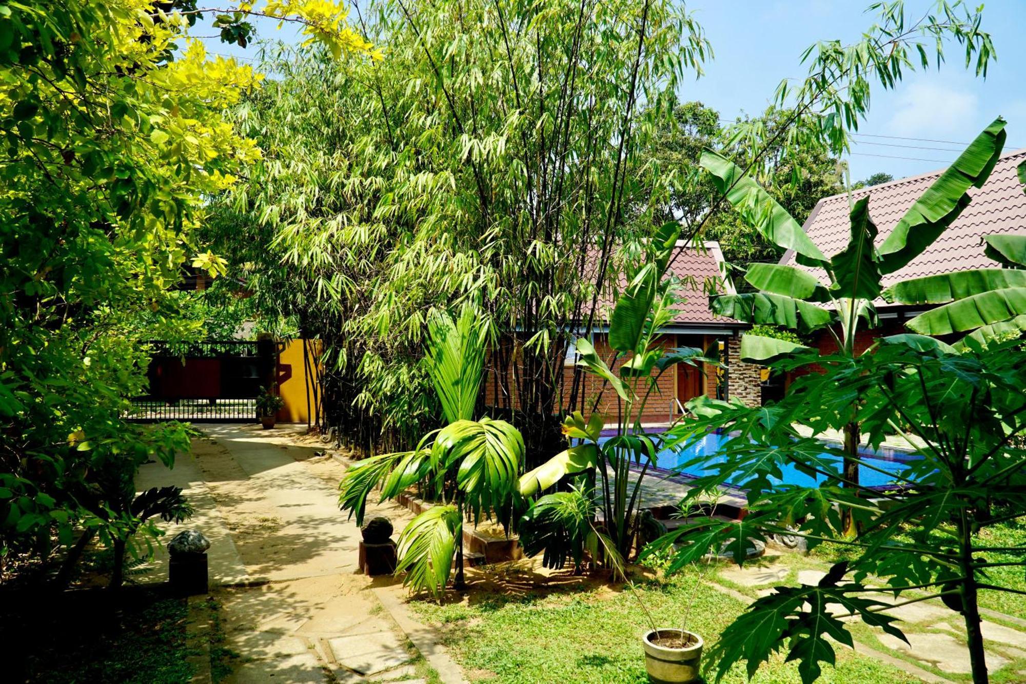 Hotel Millet'S Food Company And Cooking Center Negombo Exterior foto