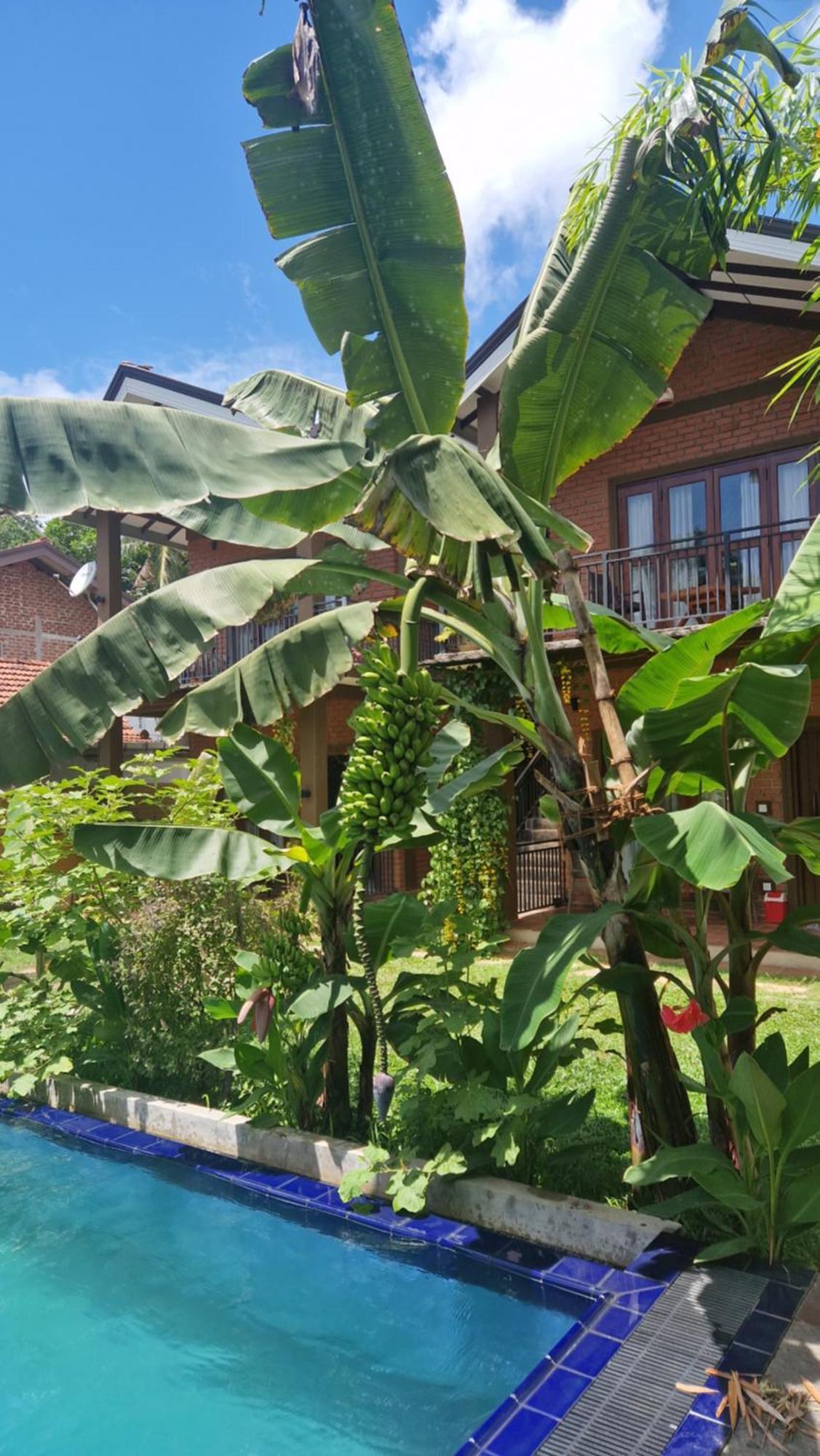 Hotel Millet'S Food Company And Cooking Center Negombo Exterior foto